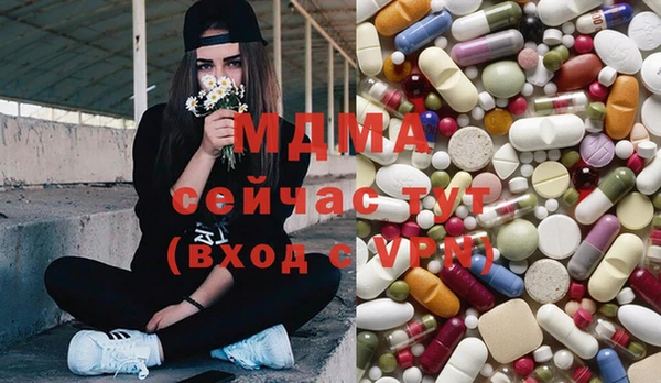 ПСИЛОЦИБИНОВЫЕ ГРИБЫ Дмитриев