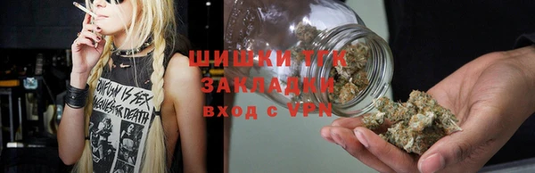 индика Балабаново