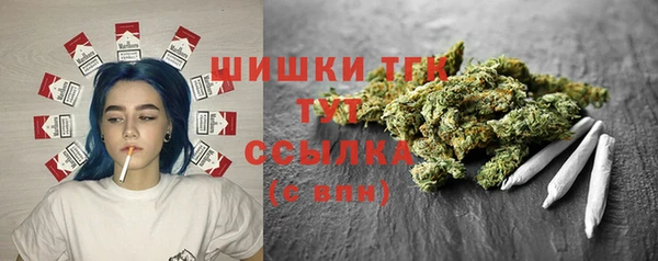 индика Балабаново
